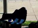 Guitarist at De Young Museum