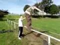 crazymen6