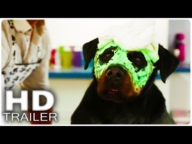 Anteprima Immagine Trailer Show Dogs- Entriamo in scena, trailer italiano ufficiale