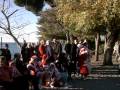 videos de petites pose au camping des filles