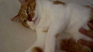 ลูบไล้ขนาดนี้...ยังเฉยๆอยู่ได้ - -