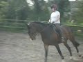 Click here to watch this video Barnaby