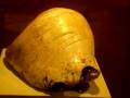 videos de Pututo Inca