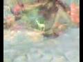 videos de PECEBRE DE LA COMUNIDAD BARRIO GRAN COLOMBIA A FINANDO LOS DETALLES.3gp