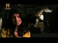 Monstruos de la prehistoria - Parte 6/13 - Criaturas - «Misterios»
