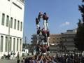 Diada Marrecs 2008 nº4