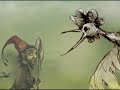 Gnomus