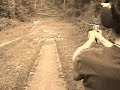 Miscellaneous Shooting Collabrative Part 3: .50AE & 9mm