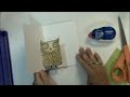 Pop Up Owl