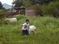 JAiMico le MOnta a LAs CHIVAs