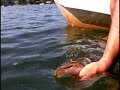 One Too Many...Muskie One Too Many...Muskie