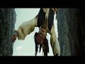 The Inevitable Return Of The Great White Dope (Jack Sparrow)