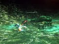 oblivion breakdancing cat