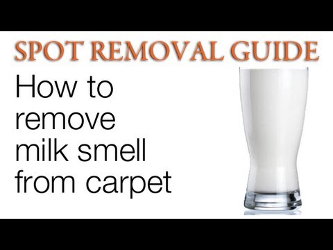 how to remove smell from carpet