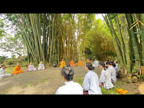 NIKAYA Thiền Quán Tâm Hỷ