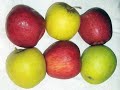 Suma de manzanas