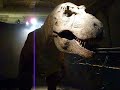 tyrannosaurus Rex