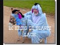eir peerd - de fleksies