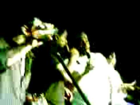 raça negra