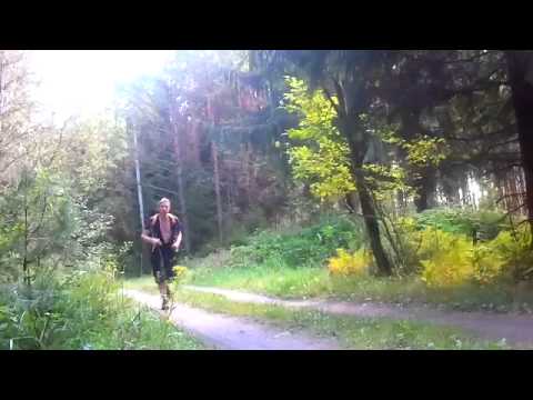 Ярко-желтый В«go-goВ»