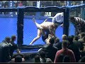 Damir Mihajlovic vs Nikola Jovanovic (Gidra Memorial) Damir Mihajlovic vs Nikola Jovanovic (Gidra Memorial)