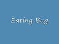 City life 2 Eating Bug