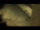 john michael mccarthy portrays jessica as deranged fan. this video was shot in memphis while the willowz were on tour in 2005. the video is actually shot in a real insane asylum in memphis. scottie diablo and jessica both were hospitalized during the making of this video.