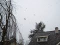 Primeira neve em Losser depois que cheguei.. Primeira neve em Losser depois que cheguei..