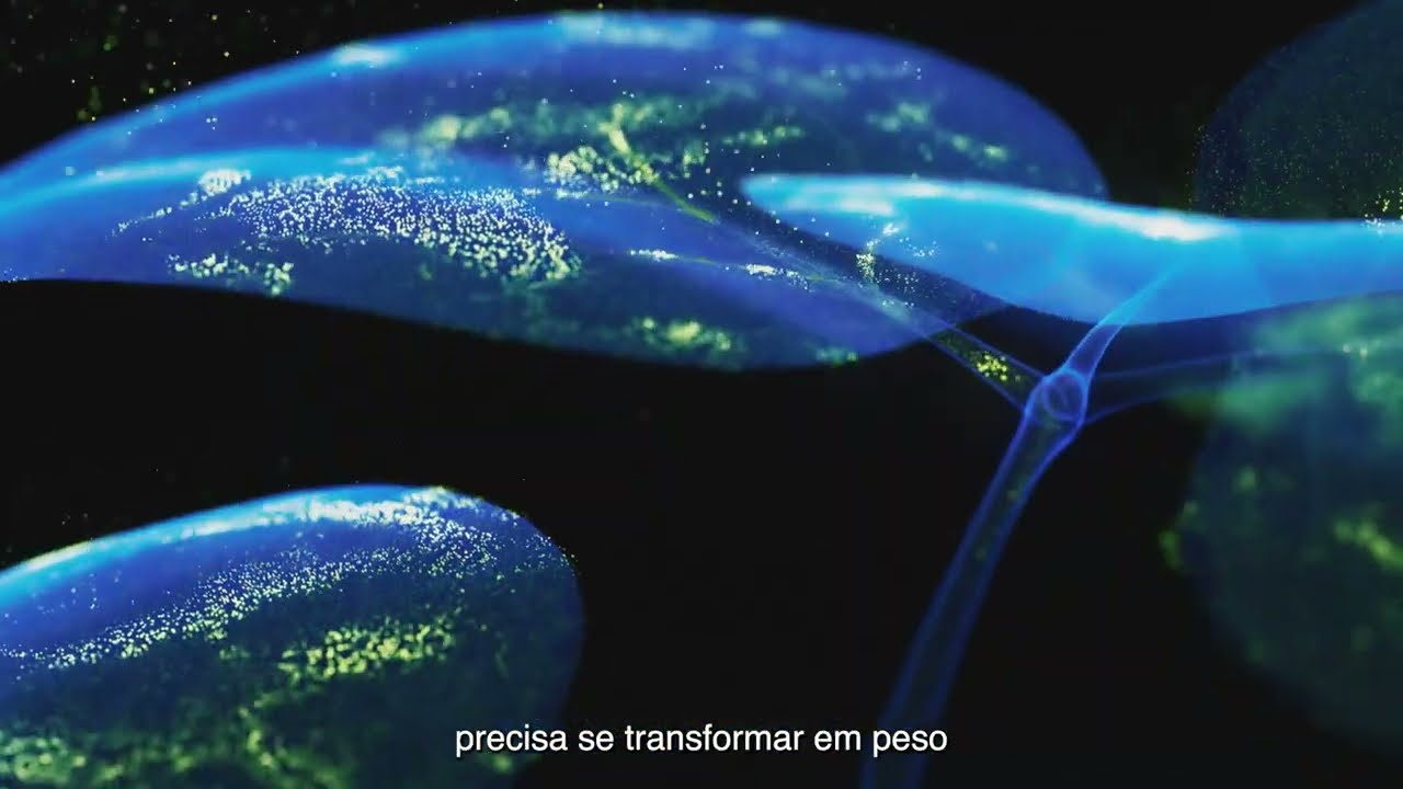 Refirma Cybelion: Mais produtividade e grãos pesados com ecnologia glicotech