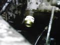 A fast and easy block heater installation on an LDS 465-1A engine. Using NPT type block heater, not the everyday freeze plug type. Use the same on any LD, LDS, LDT engine. 2 1/2 ton or 5 ton. This heater is a 600 watt unit. Though not mounted in the usual place. It does throroughly heat the block for fast cold weather starts.
