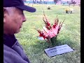 video Primera Visita Picture