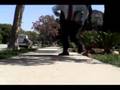 one bad day trailer