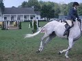 Bria riding Spunky at CT Hunter jumper finals