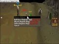 lure vid