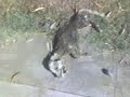 Reportaje cadaver en Comayagua por Cristian Aguiluz Wotten (parte 1)