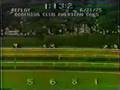 YouTube - Ruffian, her last complete race