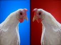 Domino's Techno Chicken