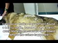 RT @ARCrusade: Friends pls share R video4dog CAPTAIN RIP http://t.co/wrBNJmIar6 pls sign Justice 4 Captain petition-MAX SENTENCE for this abuser+murderer
