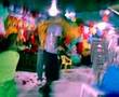 videos de Elginho e Mostarda