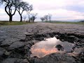 Sl�vek Janou?ek - Na Cest? Dom?