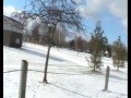 videos de A Winter Day's Frolic