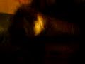 MOV00005,,