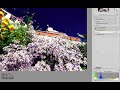 Capture NX Lesson 18 : LCH