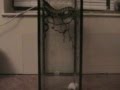Snake-Eats-Rat