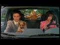 ein cooler trailer vom film garfield the movie