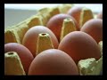 Thema: Ern�hrung