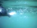 underwater-fish-figh