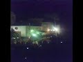 Palo Alquife�o
