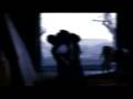 videos de Trailer Lenguaje y Soportes