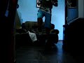 MOV02474 MOV02474